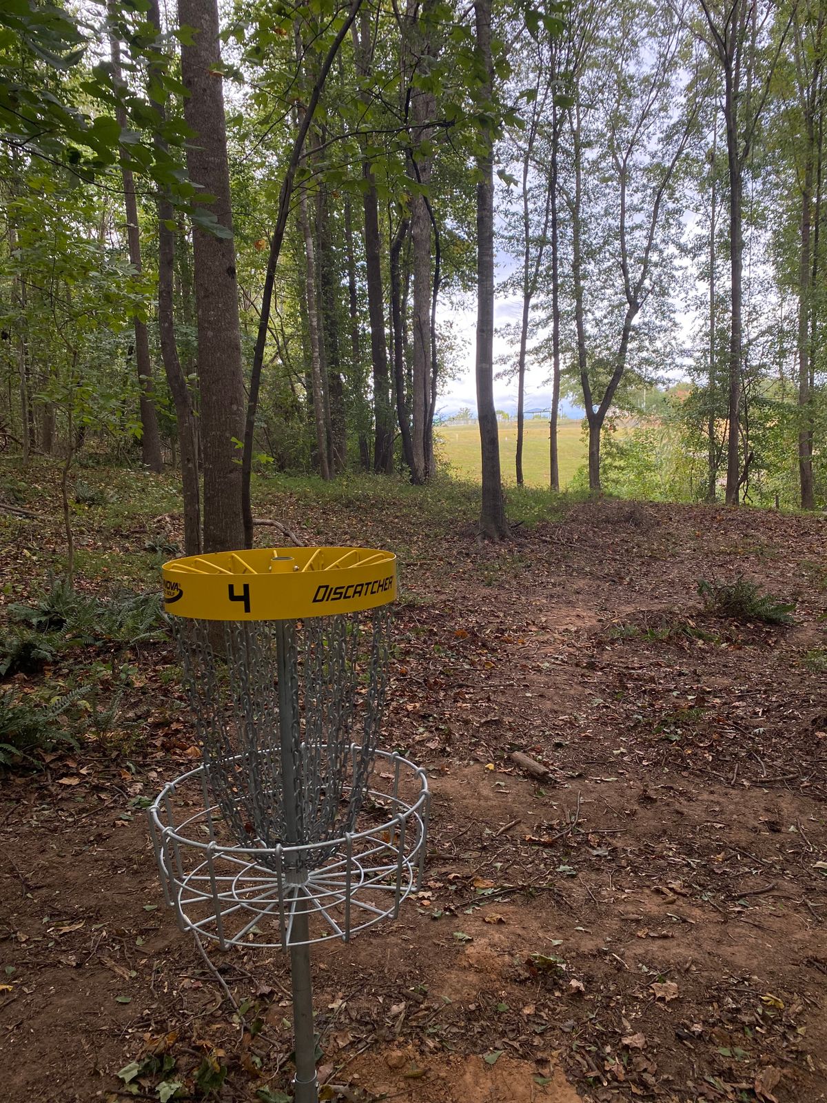 Hole 4 Basket