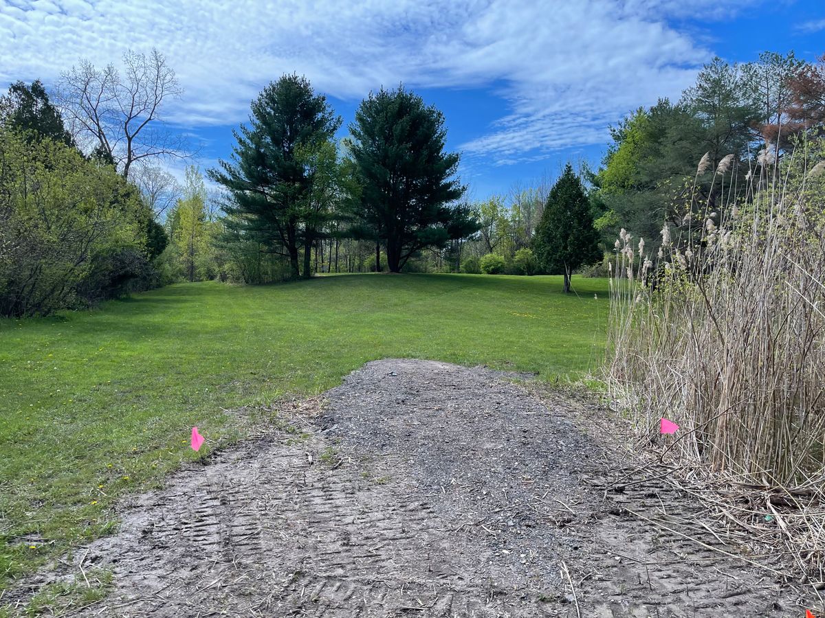 Hole 13 Short Tee