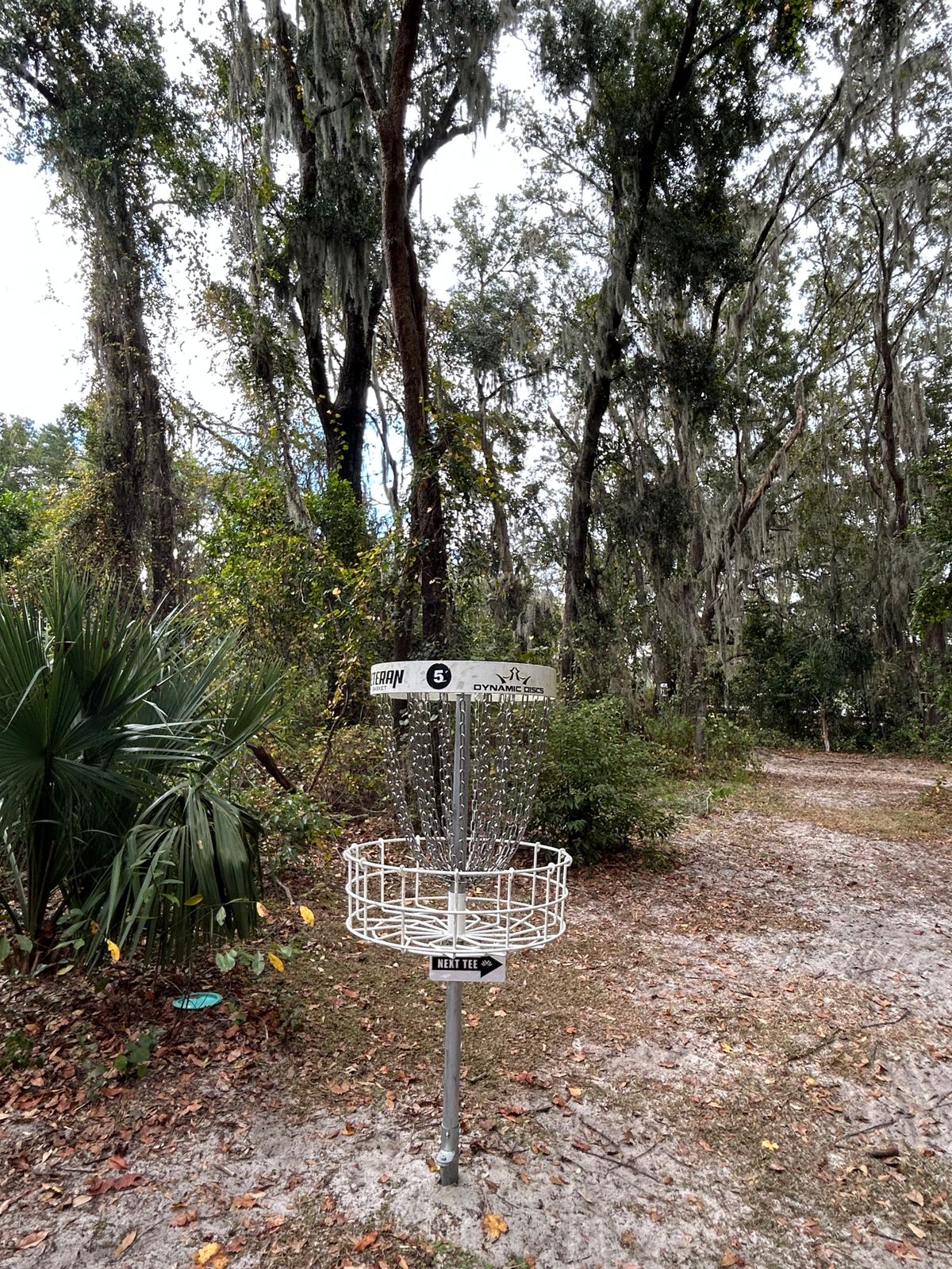 thicc backstop palmetto behind 5🥏