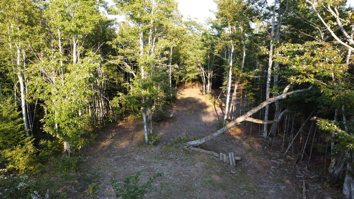Hole 5 - final stretch of fairway.