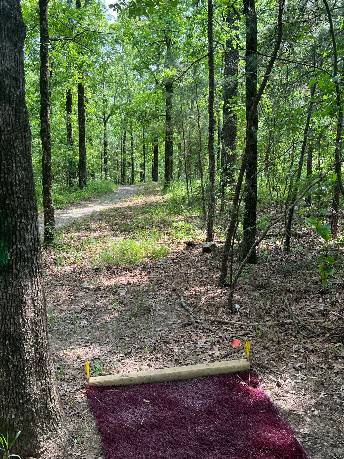 Hole 3 tee pad and basket. 99 feet