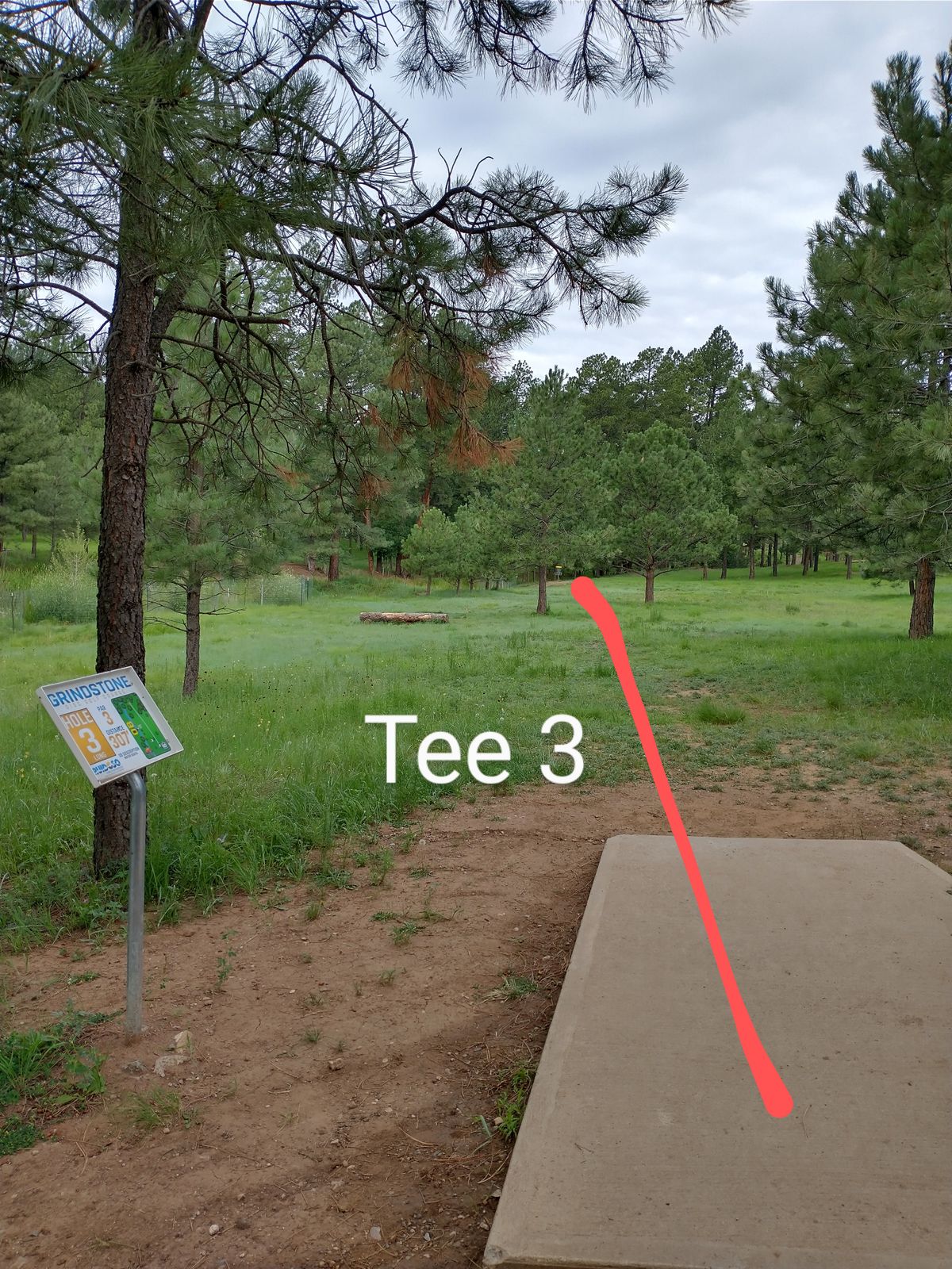 Tee 3