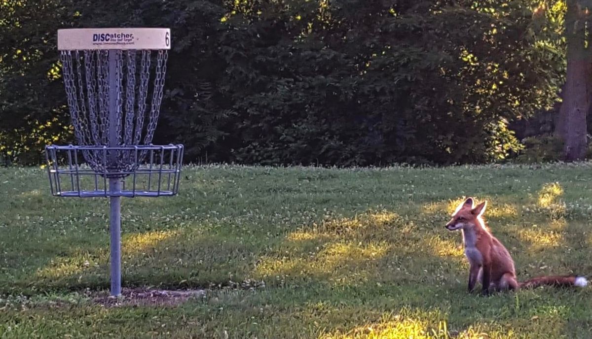 Hole 6