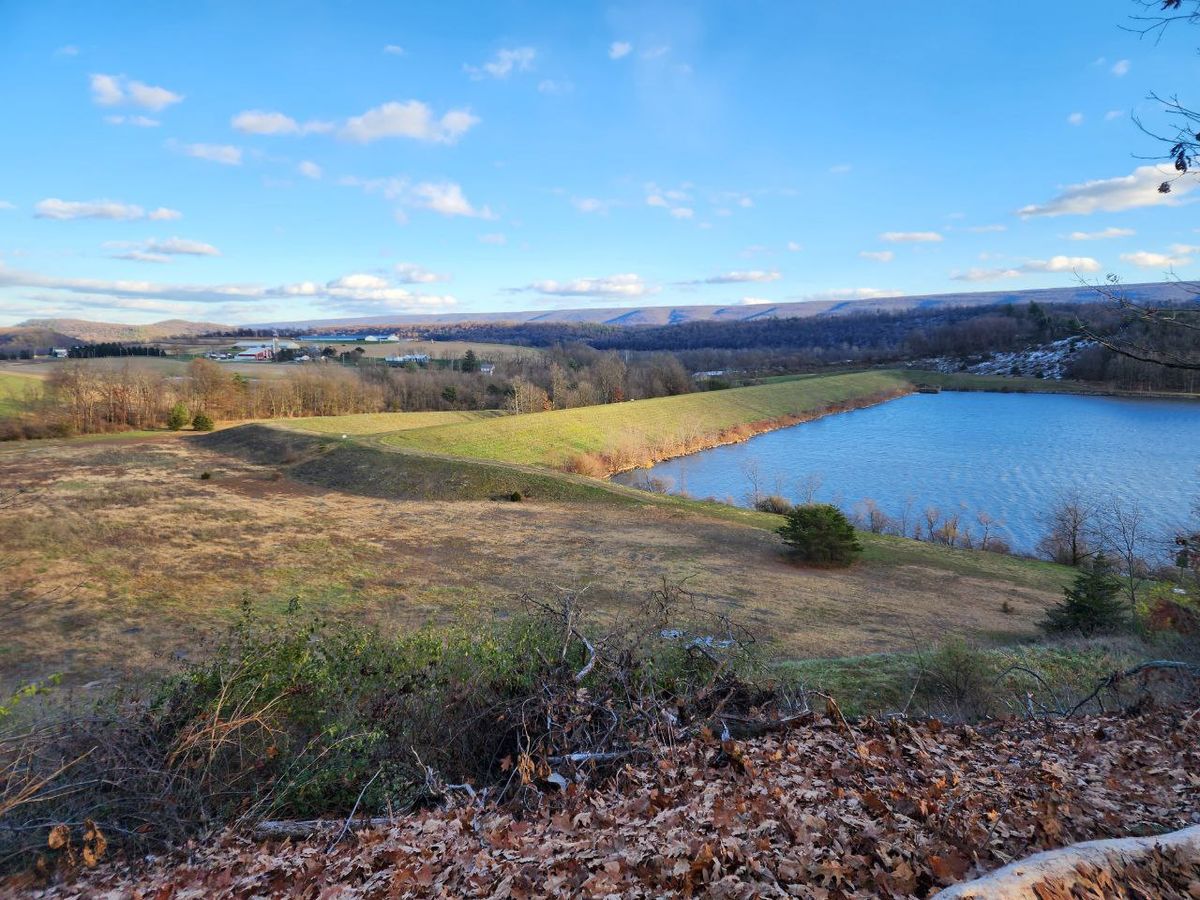 Beautiful November pic by Clark Fauss.