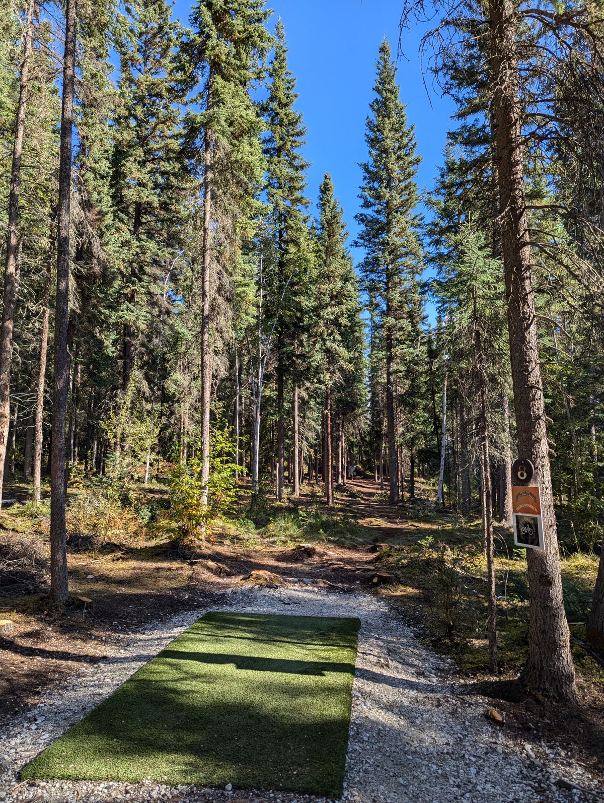 Hole 6 in late August