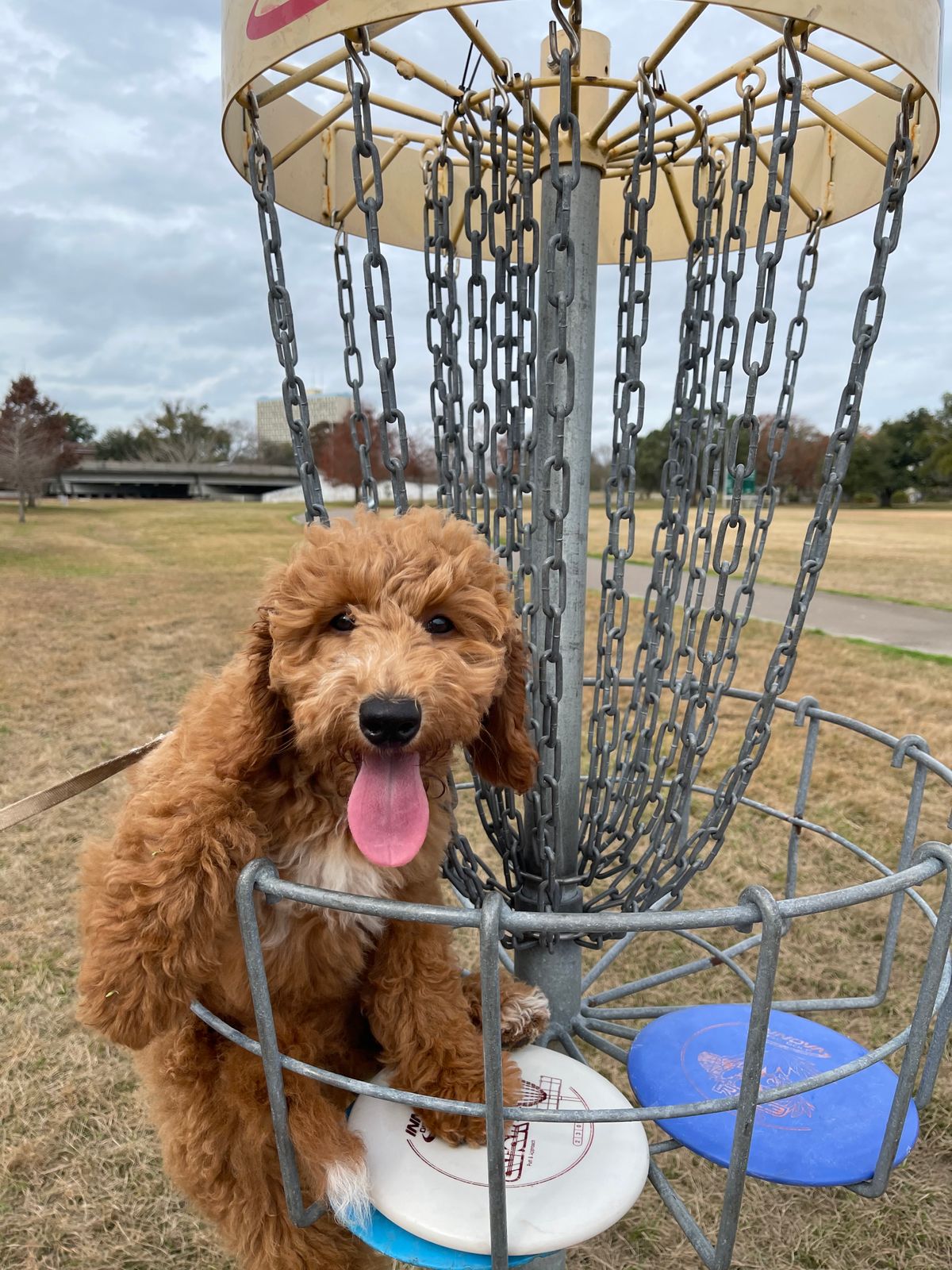 Presley enjoyed it
