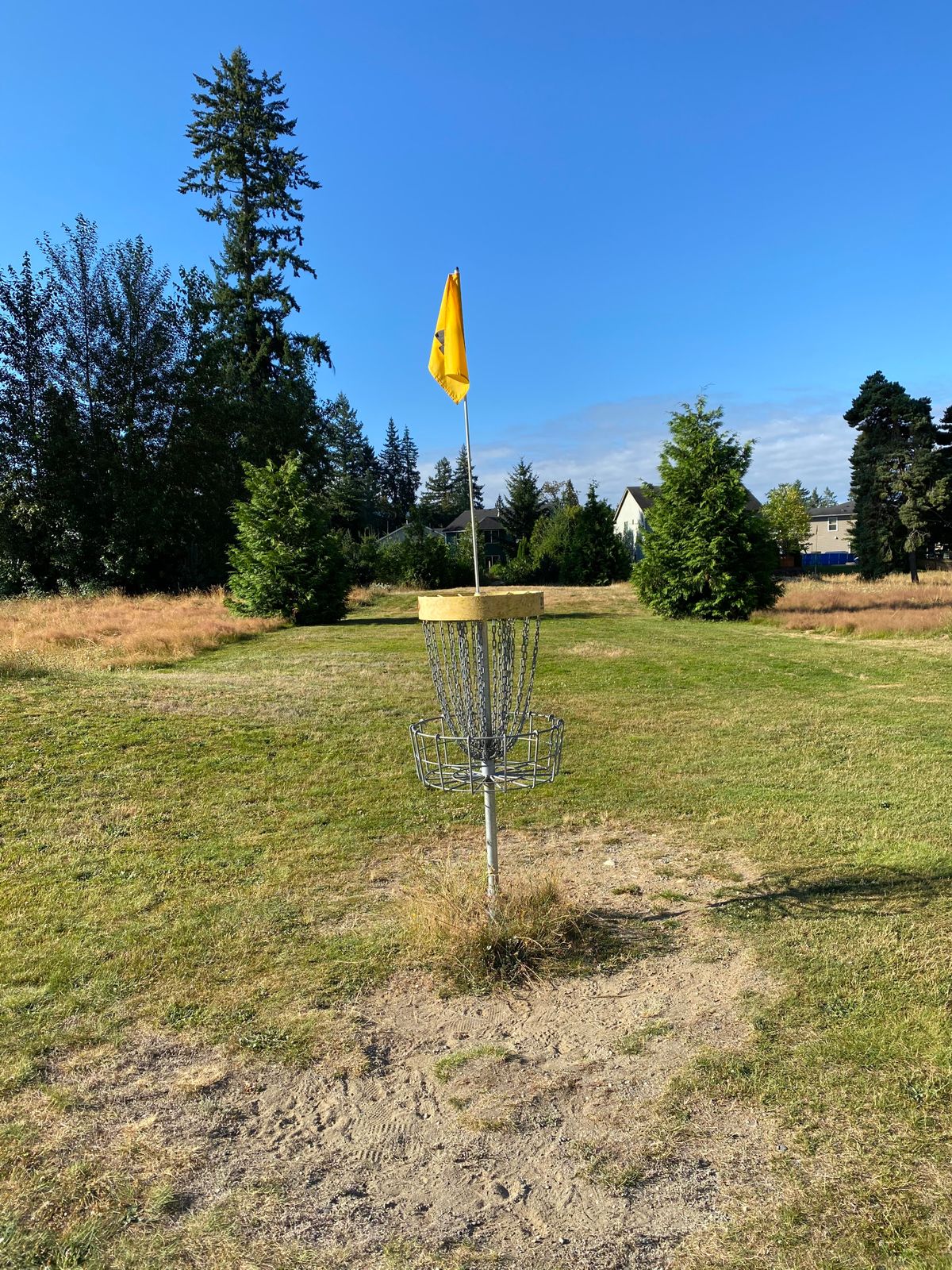 Basket on Hole #4 looking back towards tee pad