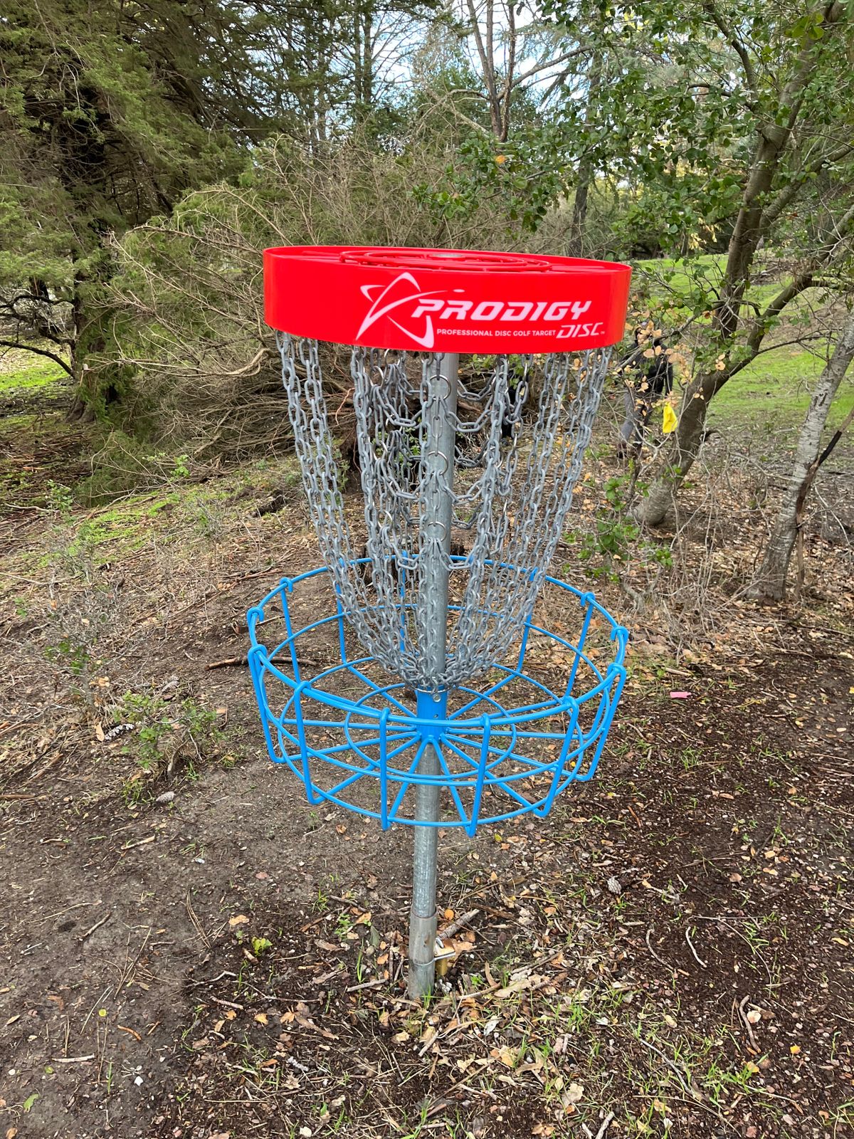 Prodigy Baskets.