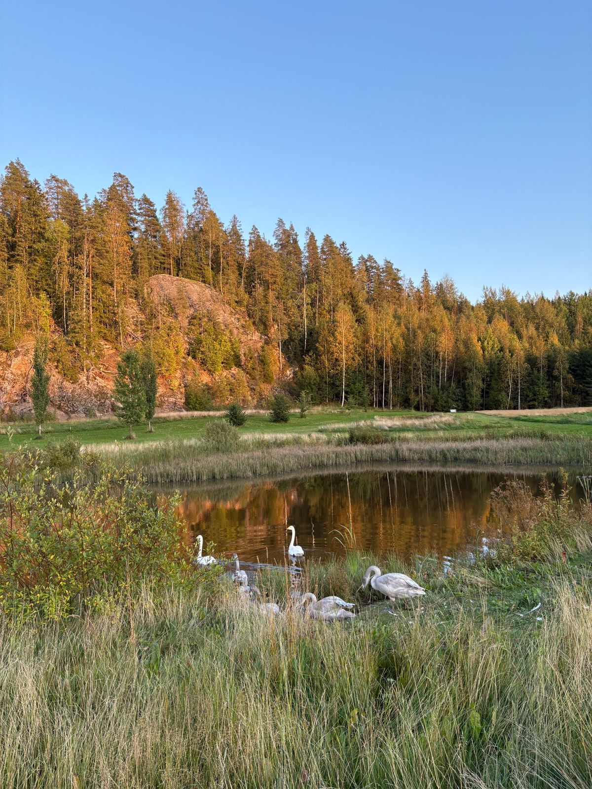 Beautiful scenery in the evening sun