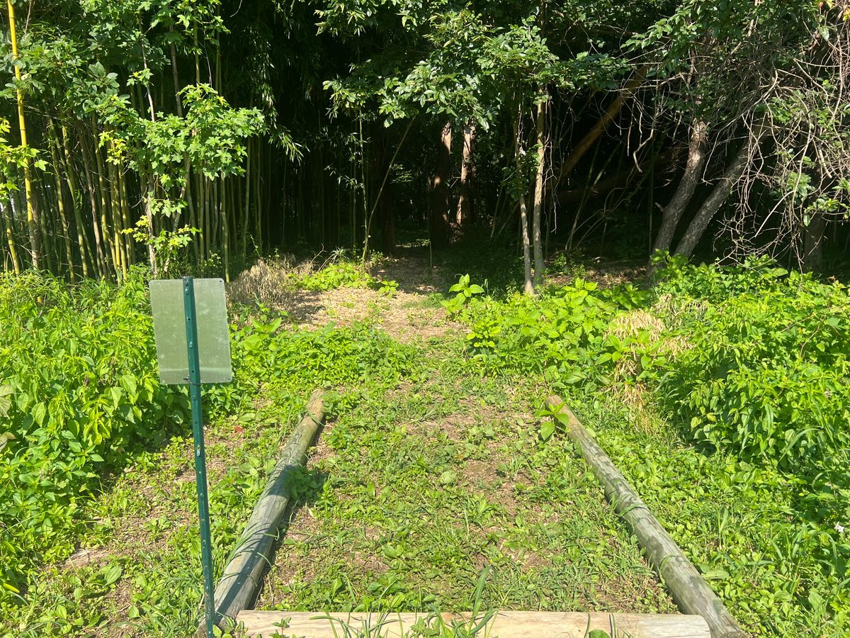Hole 3 Tee