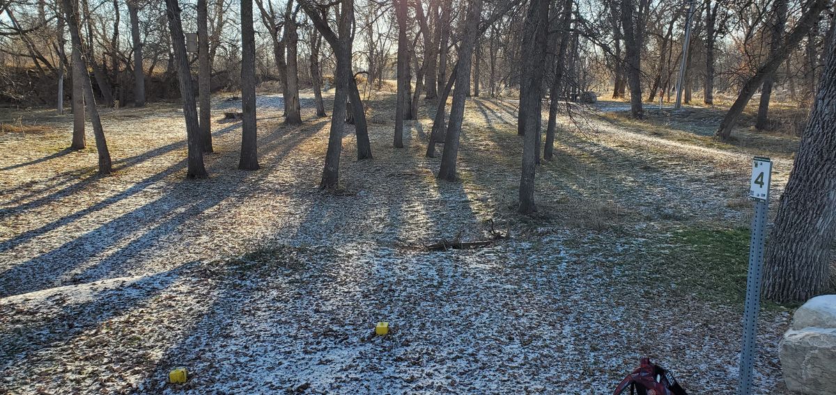 Tee 4 to fairway/basket