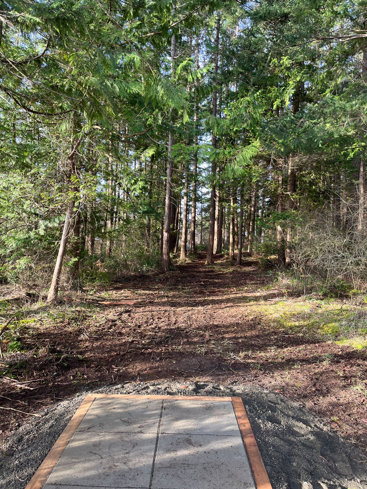 Hole 1