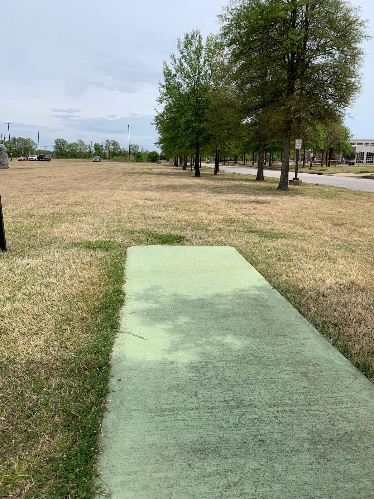 Hole 6 tee