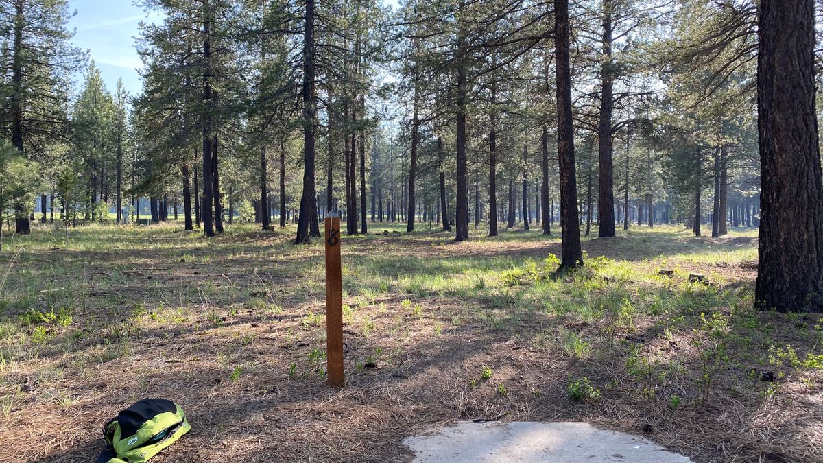 Hole 8