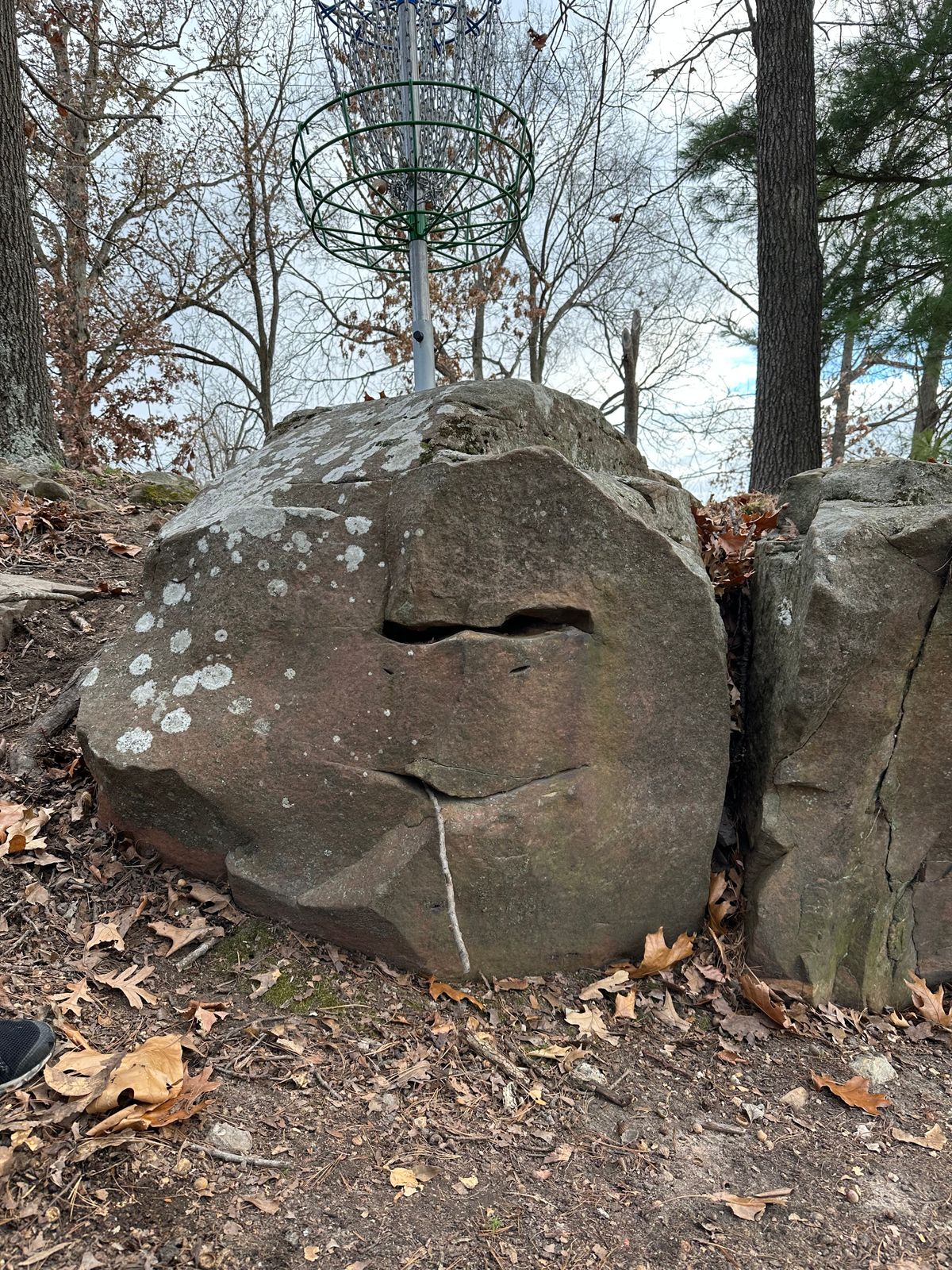 Monkey Rock