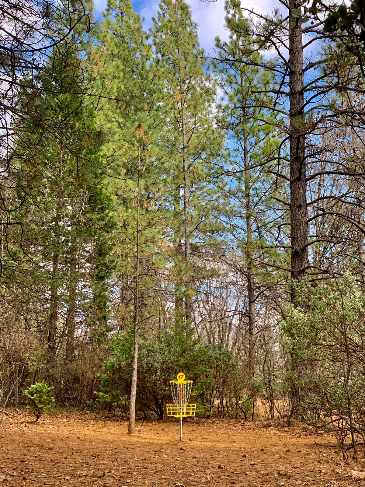 Hole 17, C position.