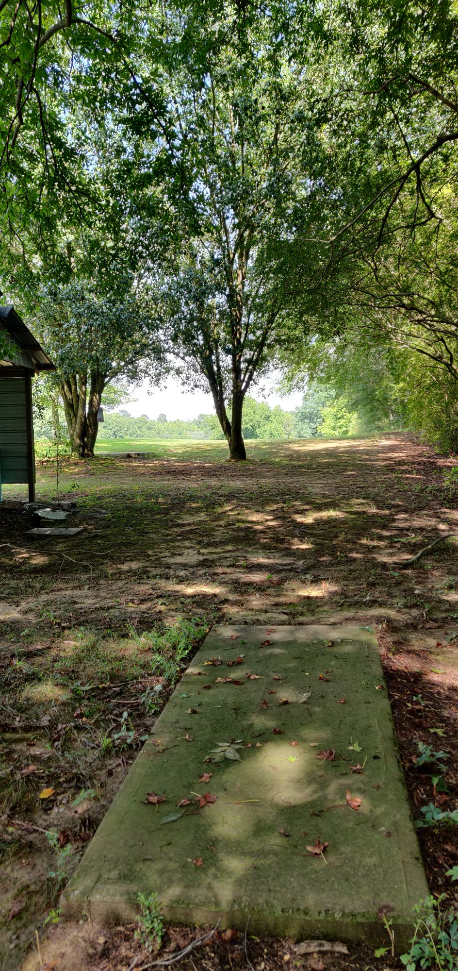 Hole 9 Tee