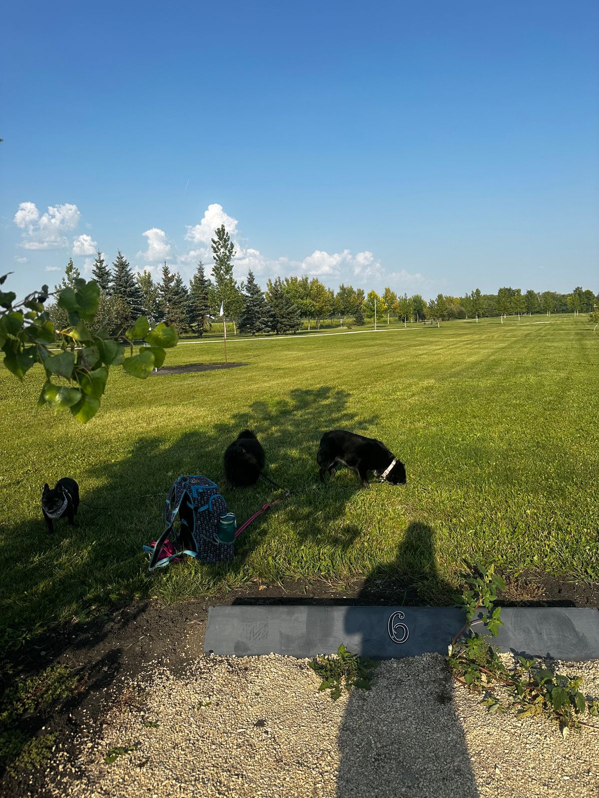 Hole 6