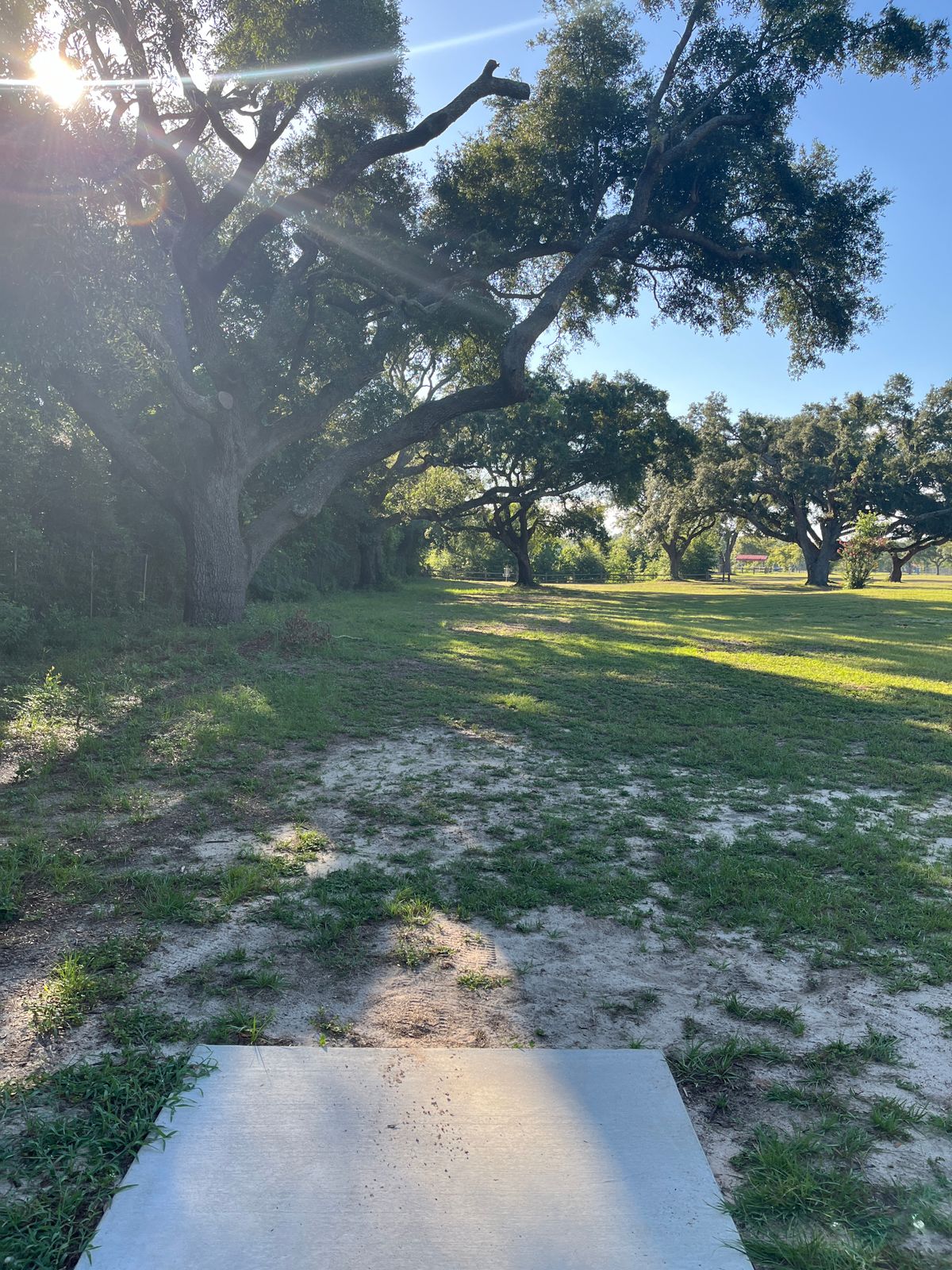 Hole 6 Tee