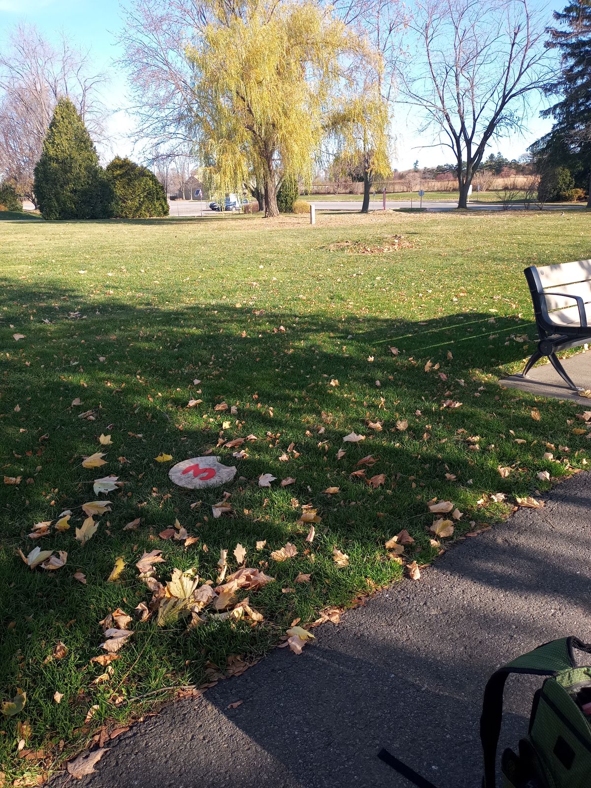 Hole 3 tee