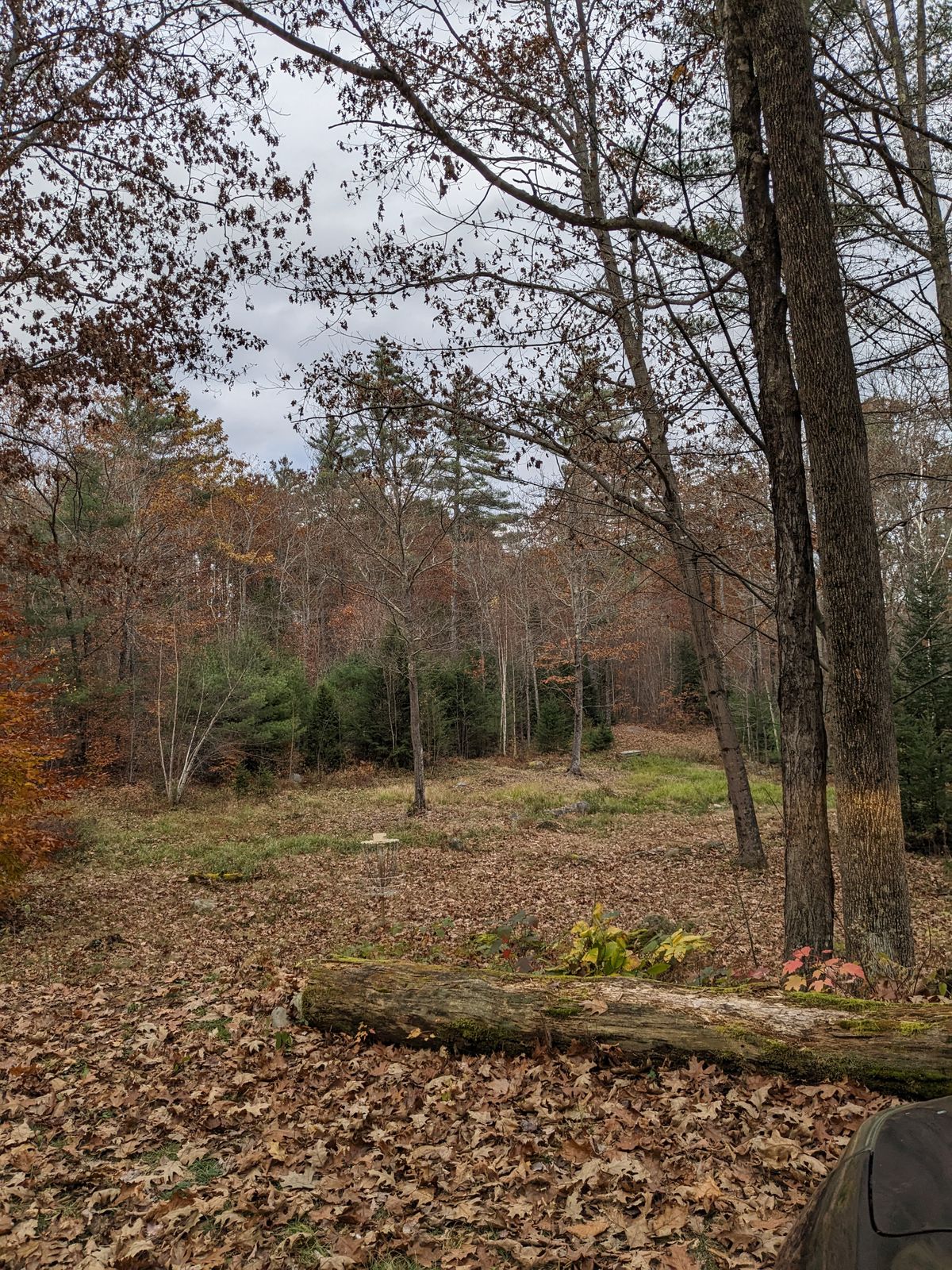 Fall Day