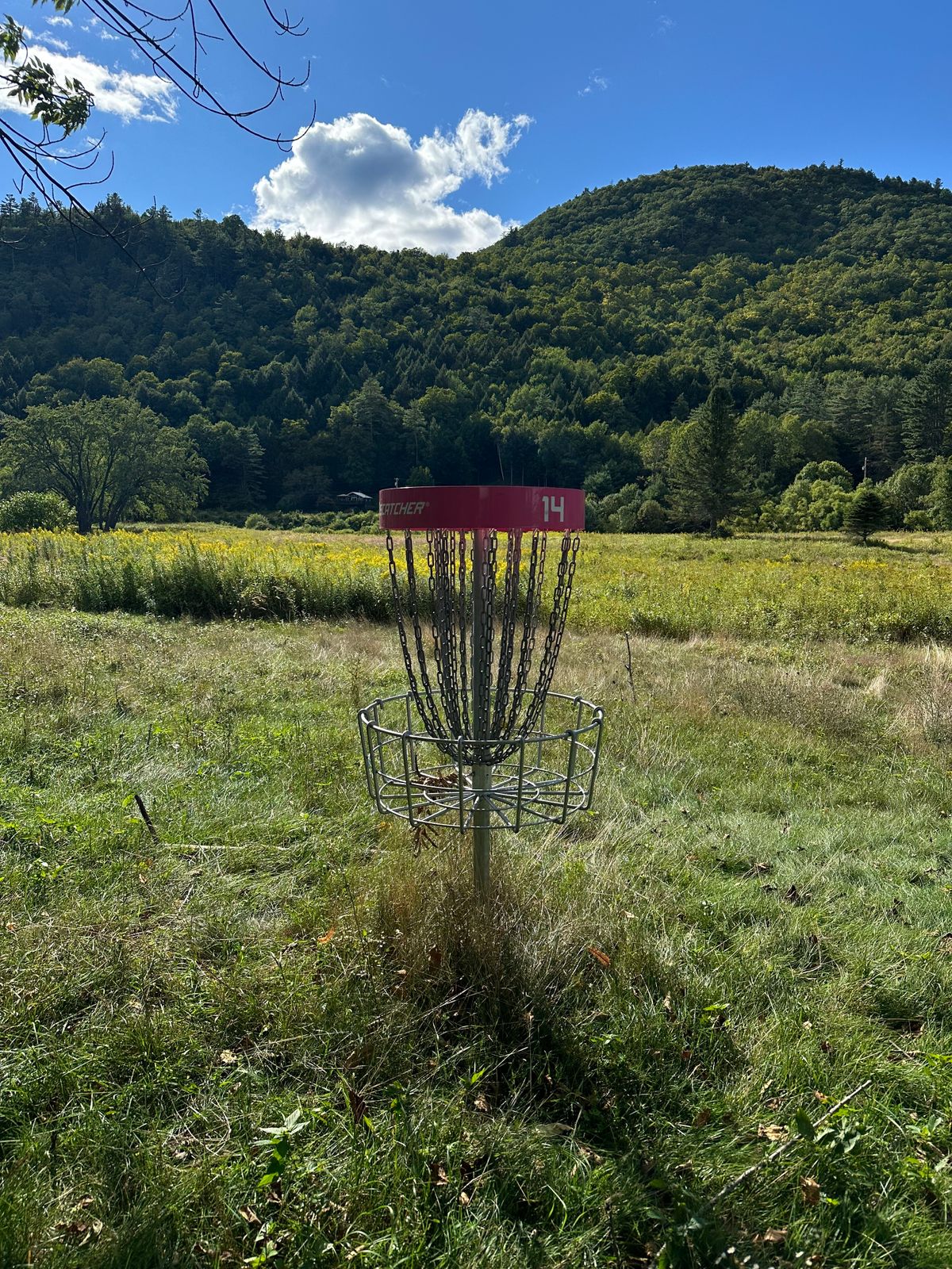 Hole 14s basket as of 9/2/24