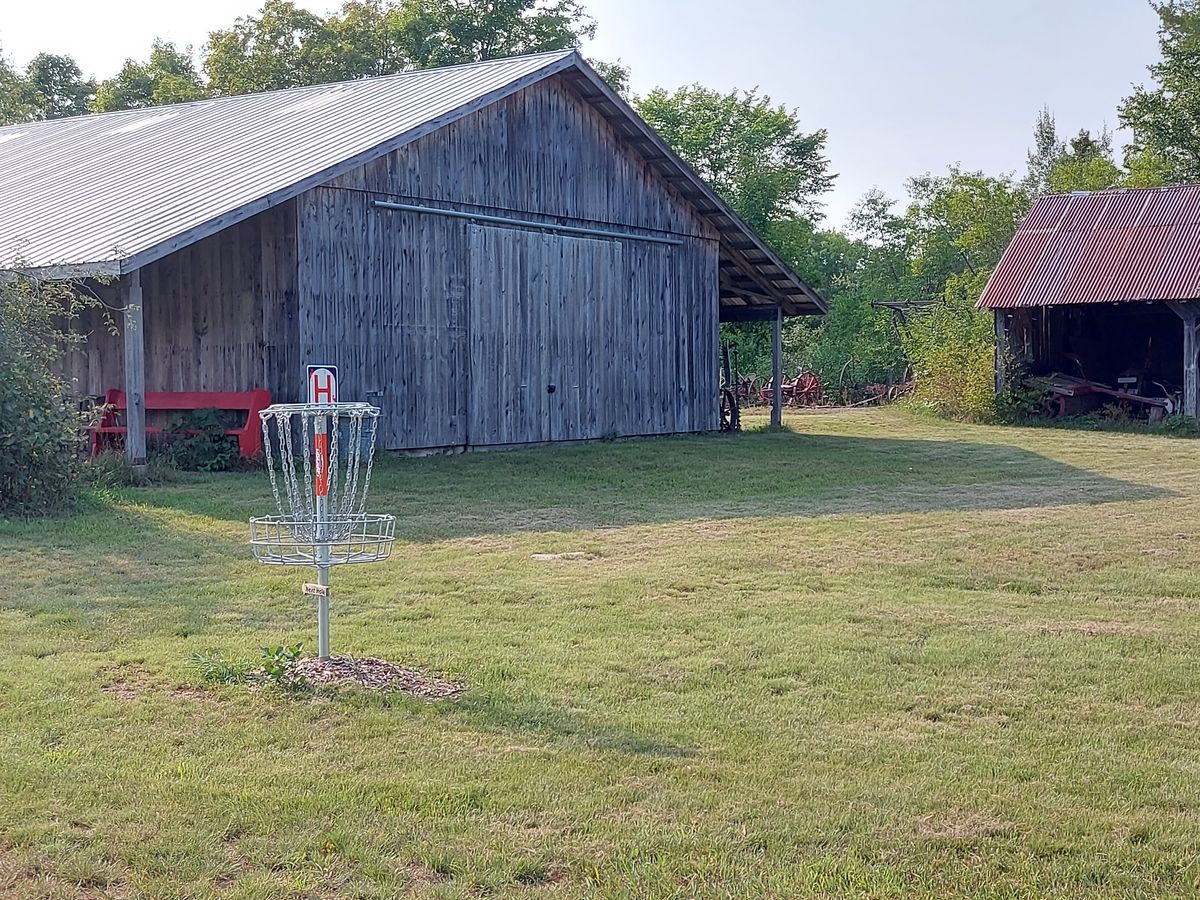 Putting on hole 8.🍀👍🍁🍀