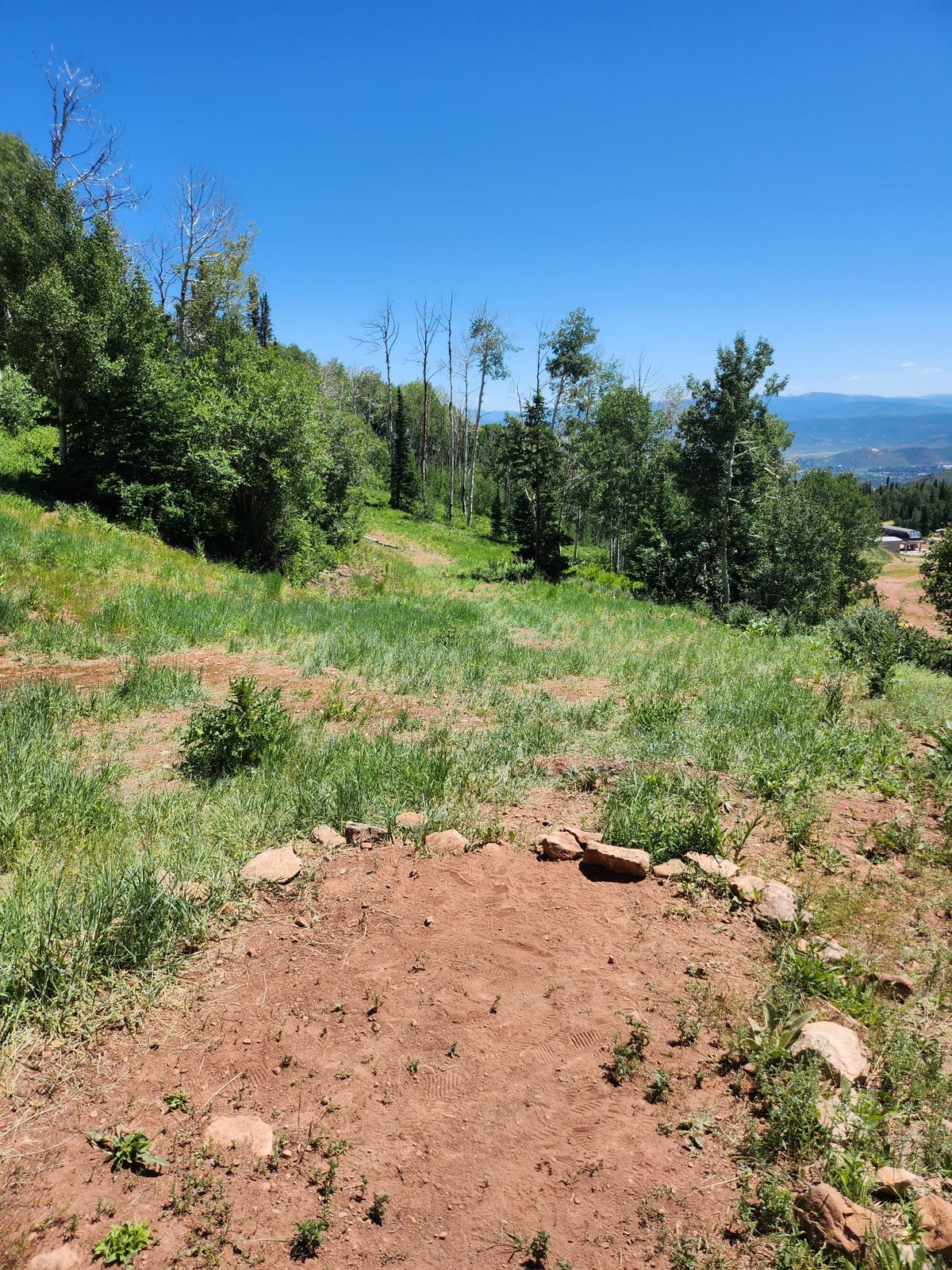 Hole 15