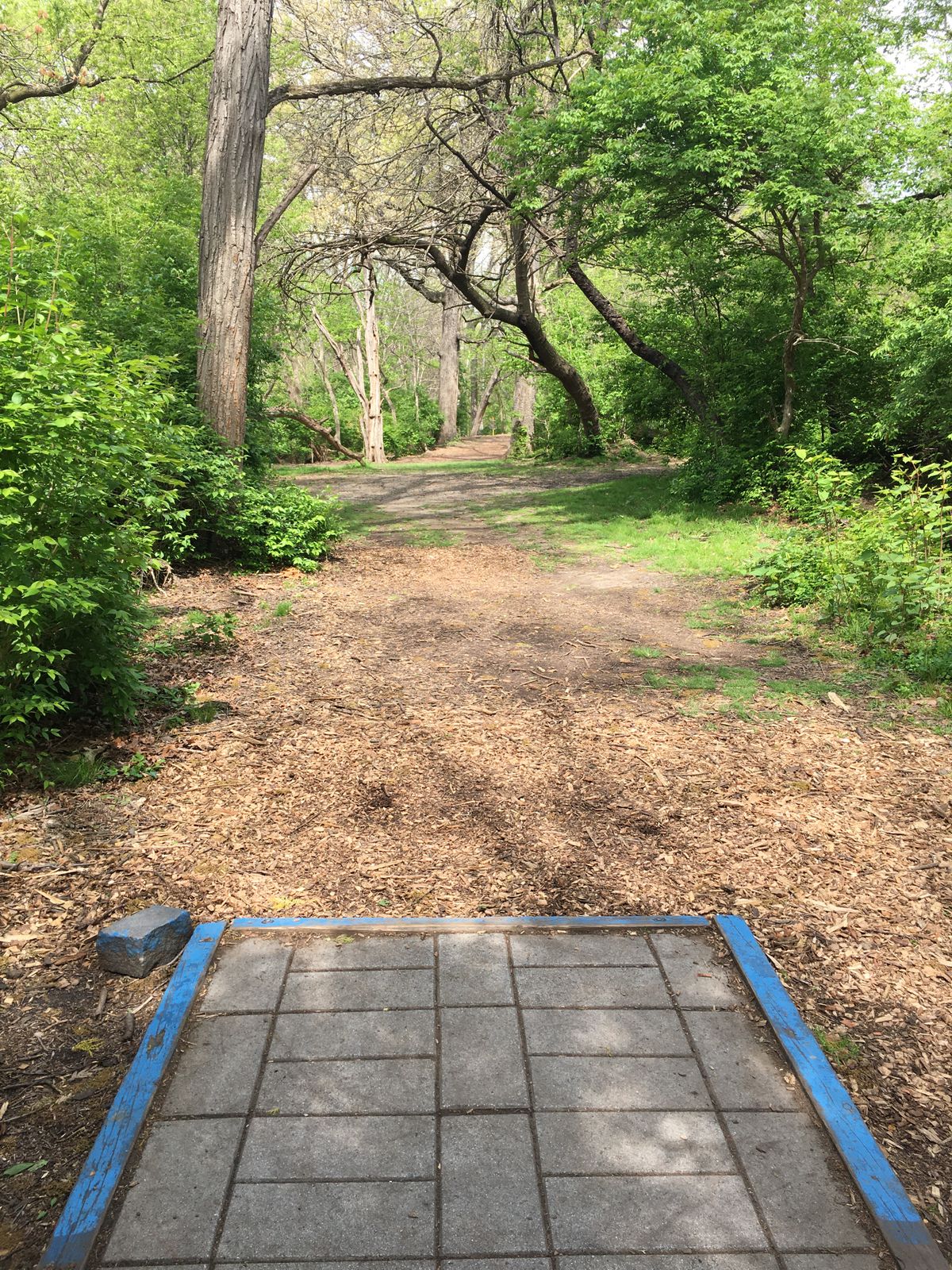 Hole 12, blue tee