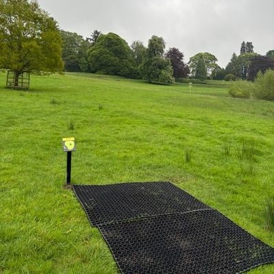 Hole 8 tee with hole 2 basket to the right