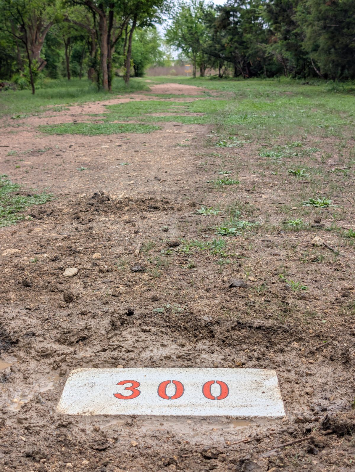 Hole 12