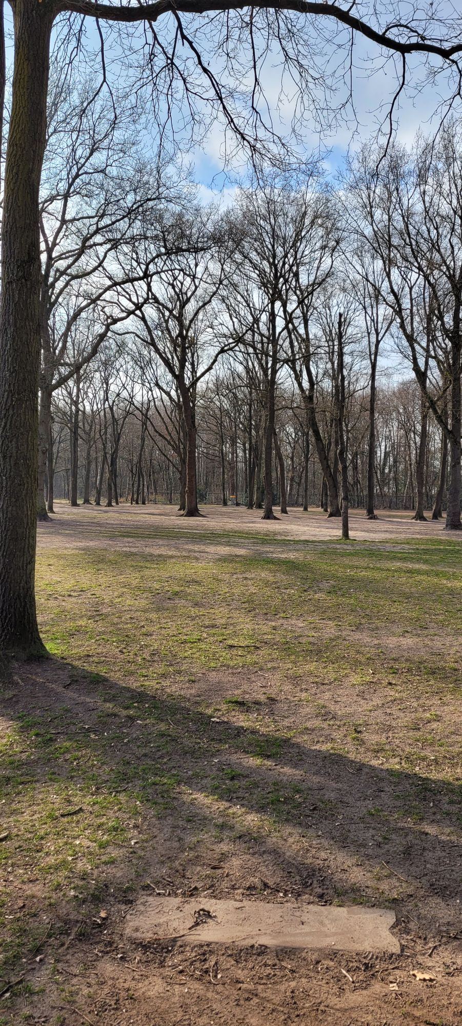 Hole 5