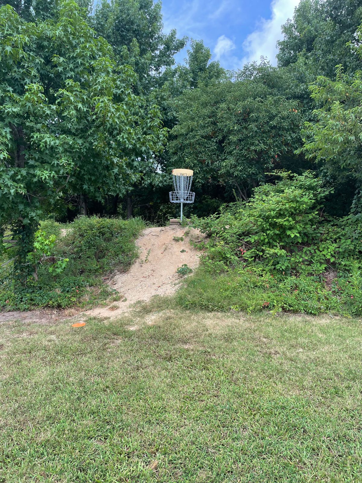 Hole 20 basket