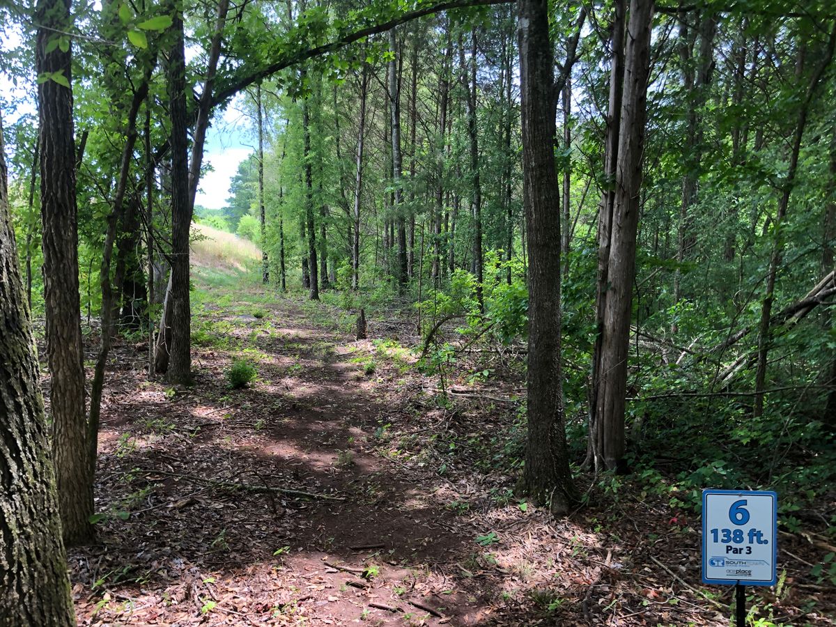 Hole 6 tee