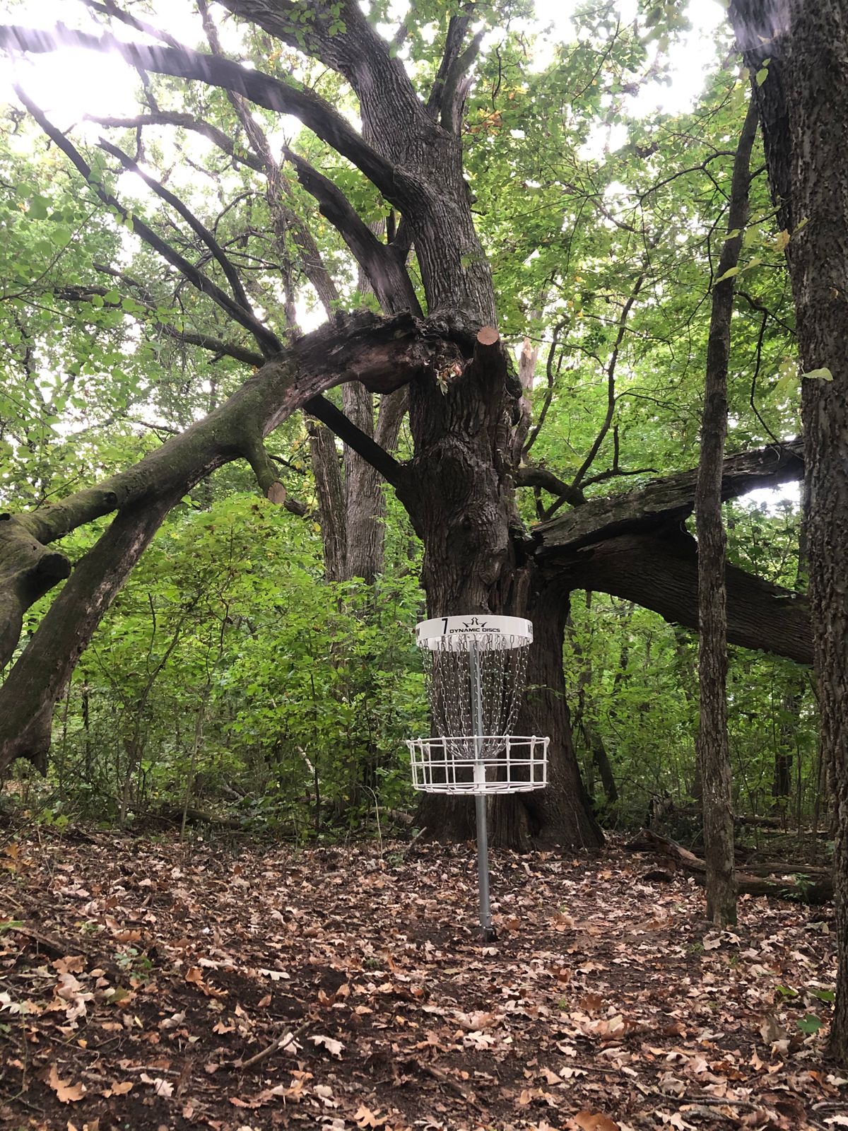 Hole 7