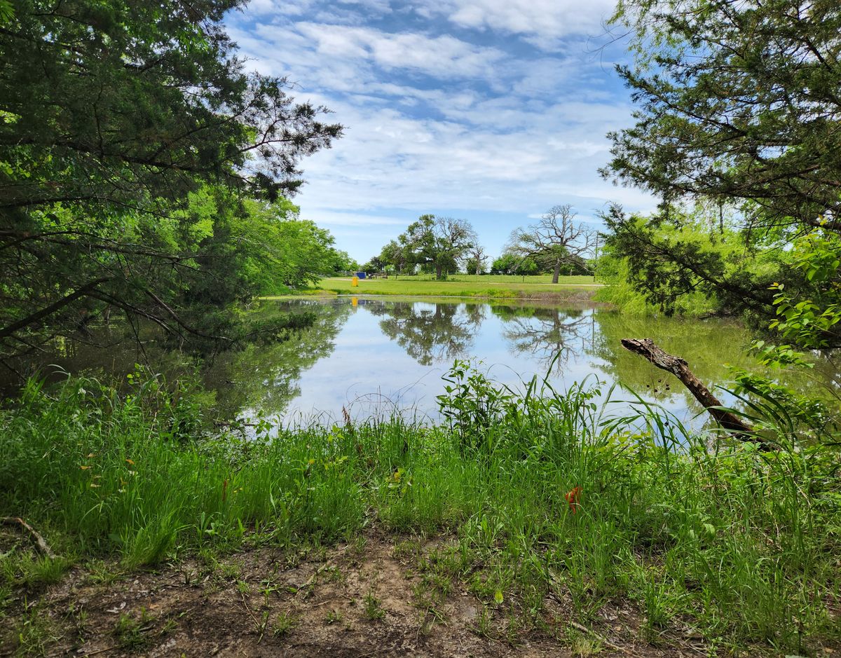 New hole over pond (8A)