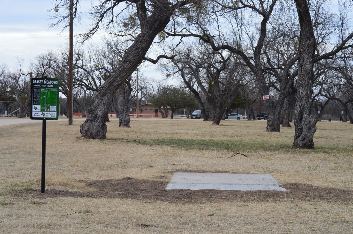 Hole 18. Mando Must go  left of second tree off tee box.