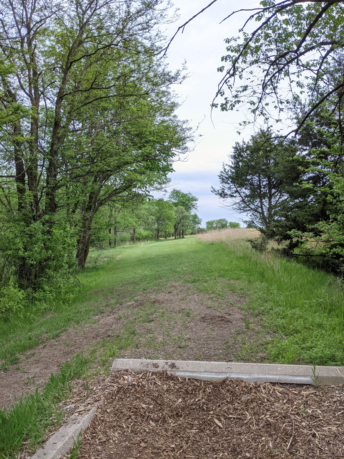 Tee 16