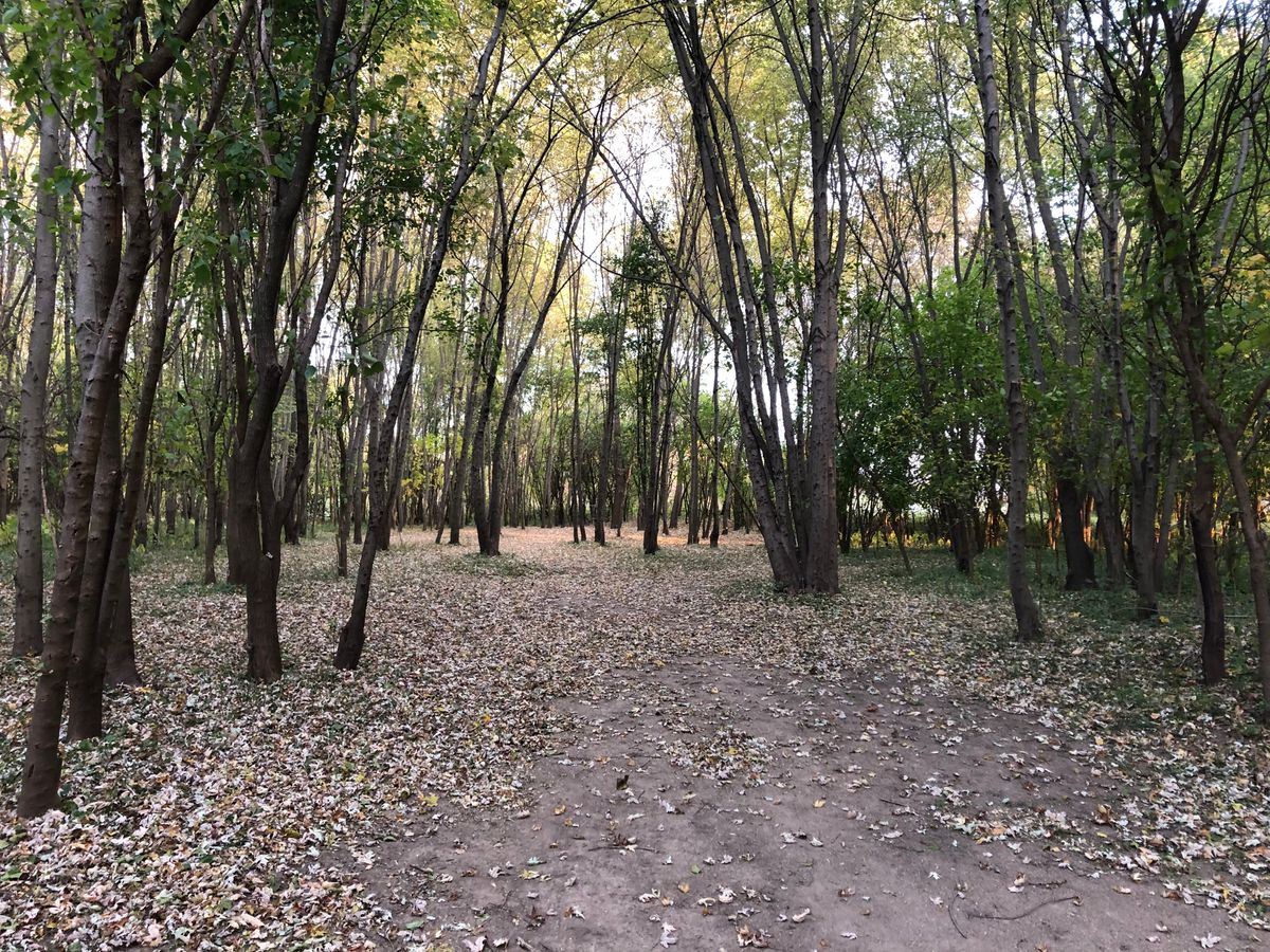  Hole 6 Approach 2022