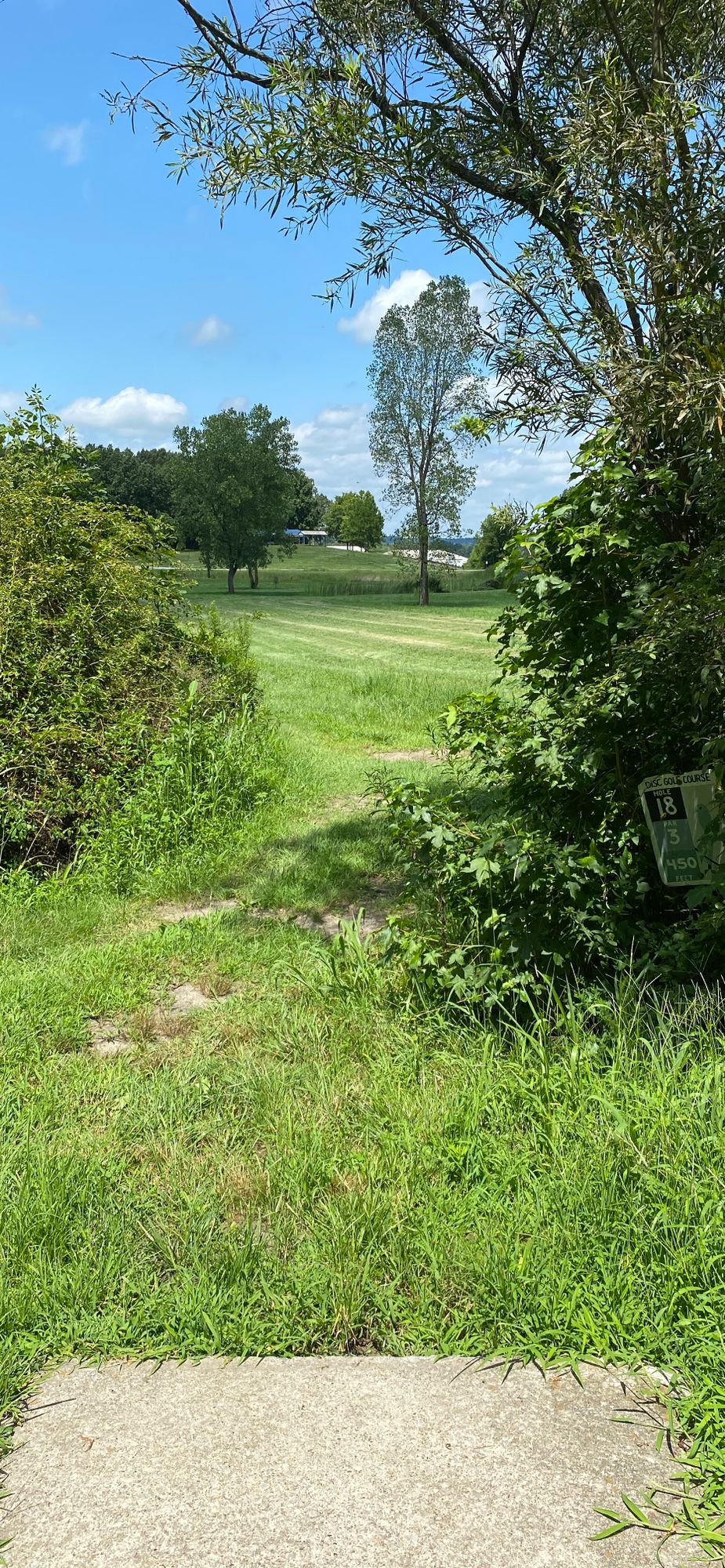 18 tee