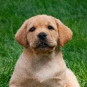 User avatar image