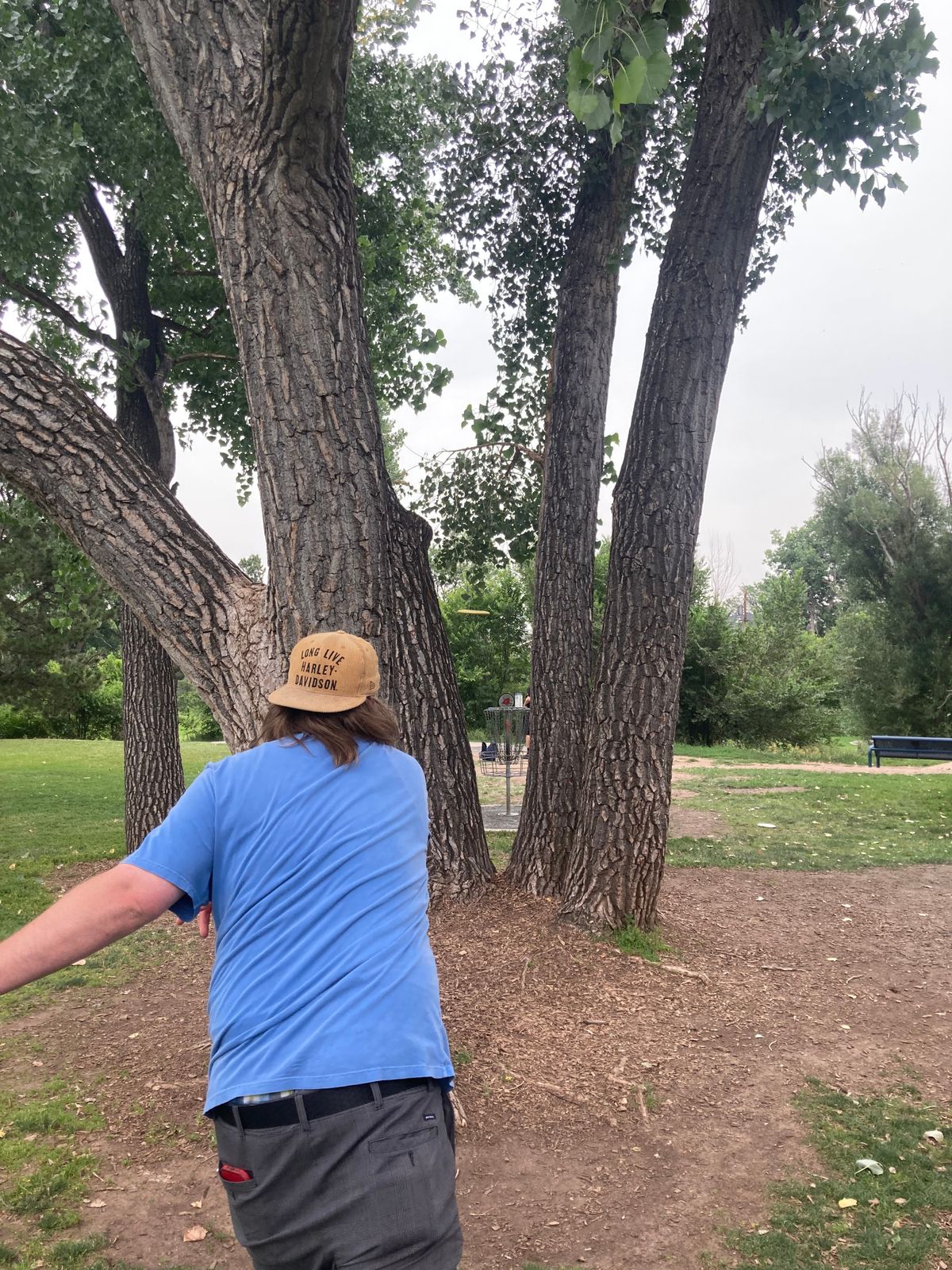 Turbo putt through the trees