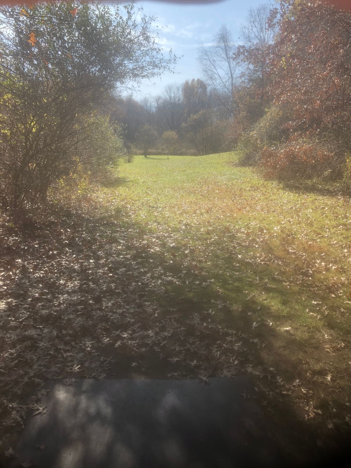 11th tee