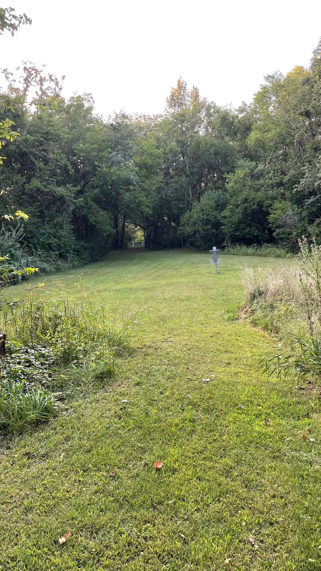 Hole 8 looking back to the tee