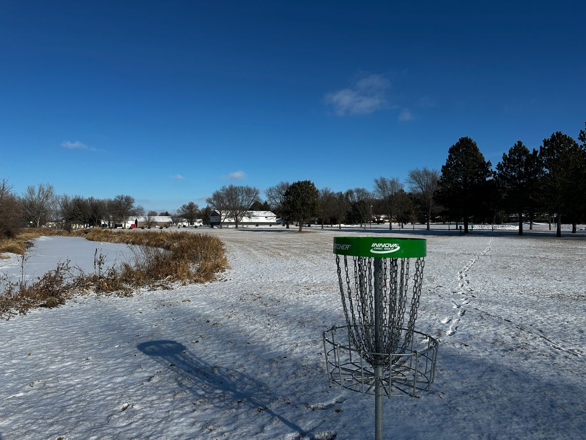Hole 7 basket