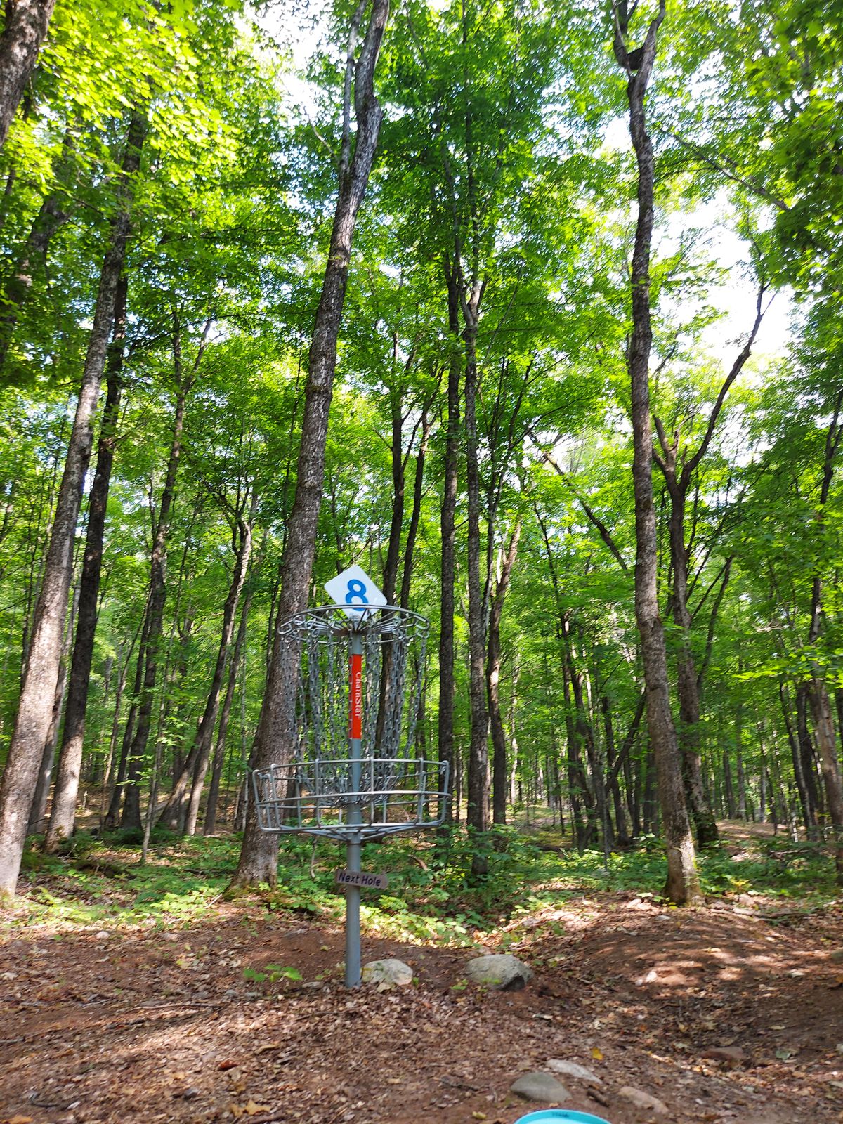Putting on hole 8.🍁🌳🍀🪵