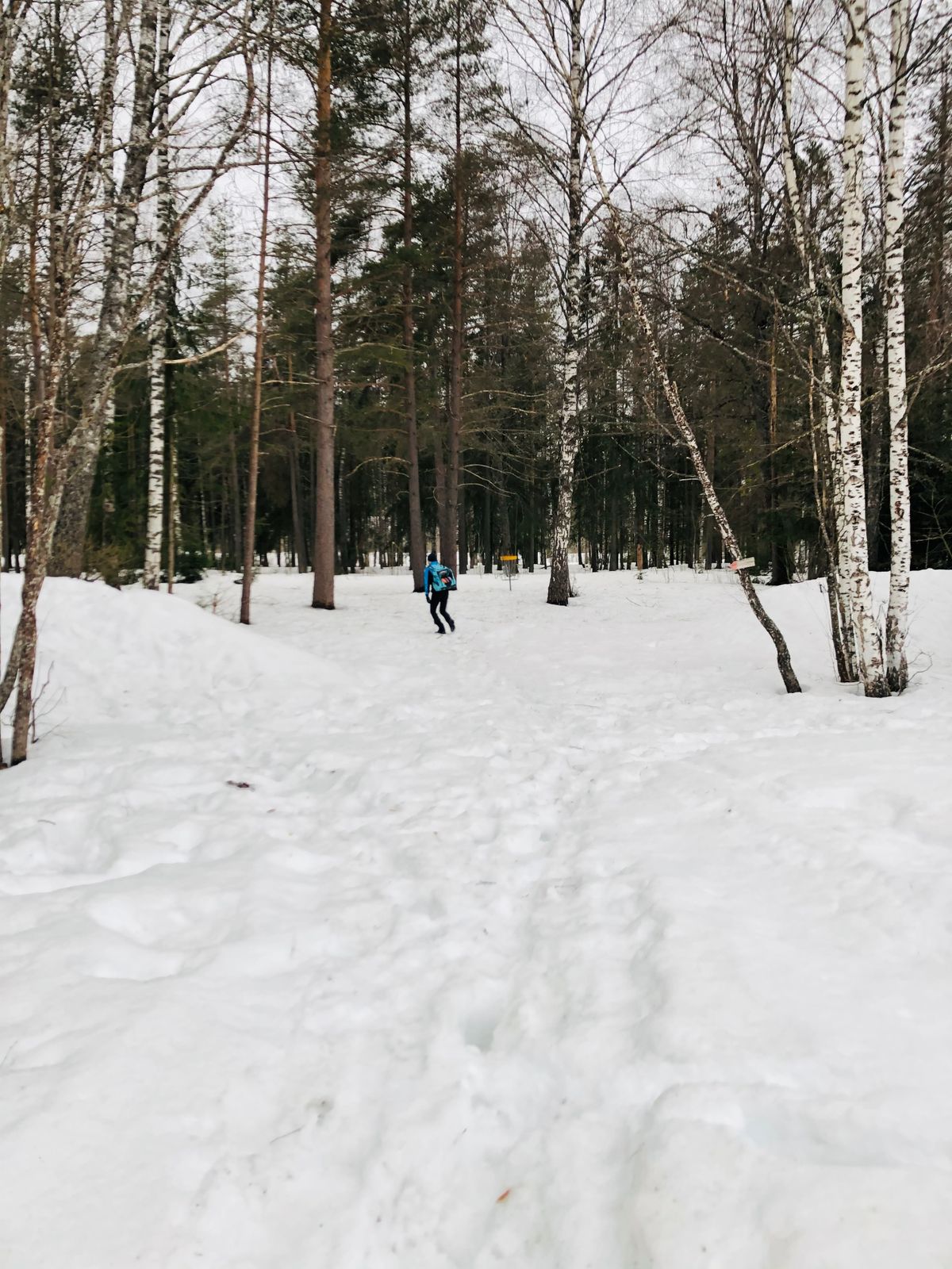 28.03.21 Hull 7. Mindre snø i skogen. Ingen bare teepads.