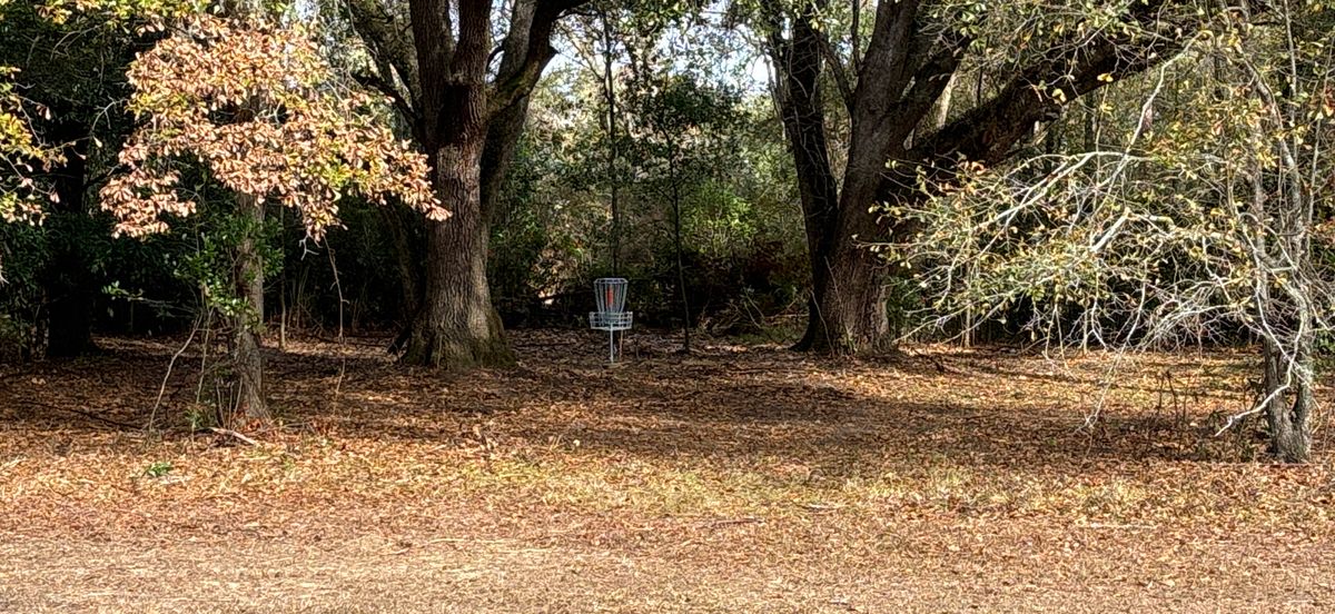 Hole 2 Blue