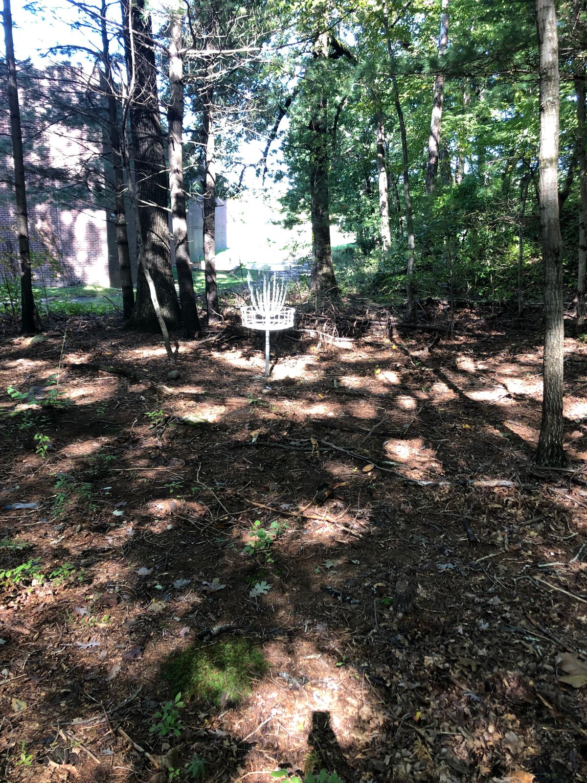 Hole 11 Basket