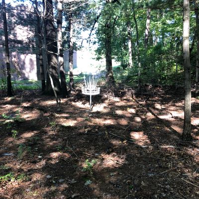 Hole 11 Basket
